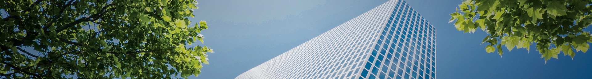 rb88随行版-rb88手机随行版登录入口